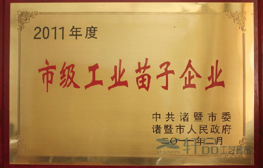 2011年2月，公(gōng)司被諸暨市人民(mín)政 府評為(wèi)“市級工(gōng)業苗子企業”